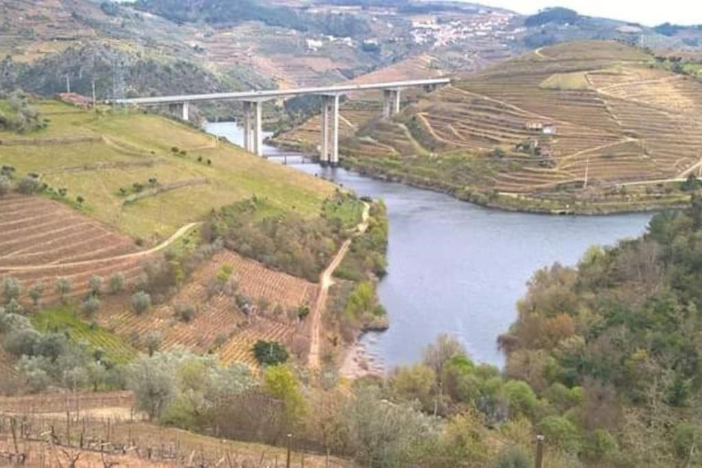 Casa Dos Copins Villa Lamego Exteriör bild