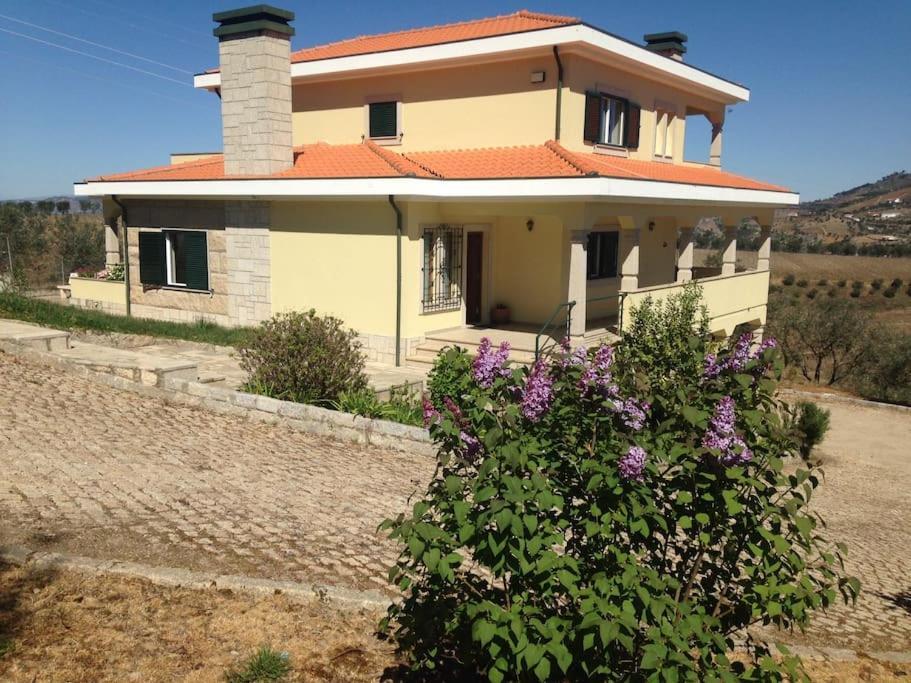 Casa Dos Copins Villa Lamego Exteriör bild