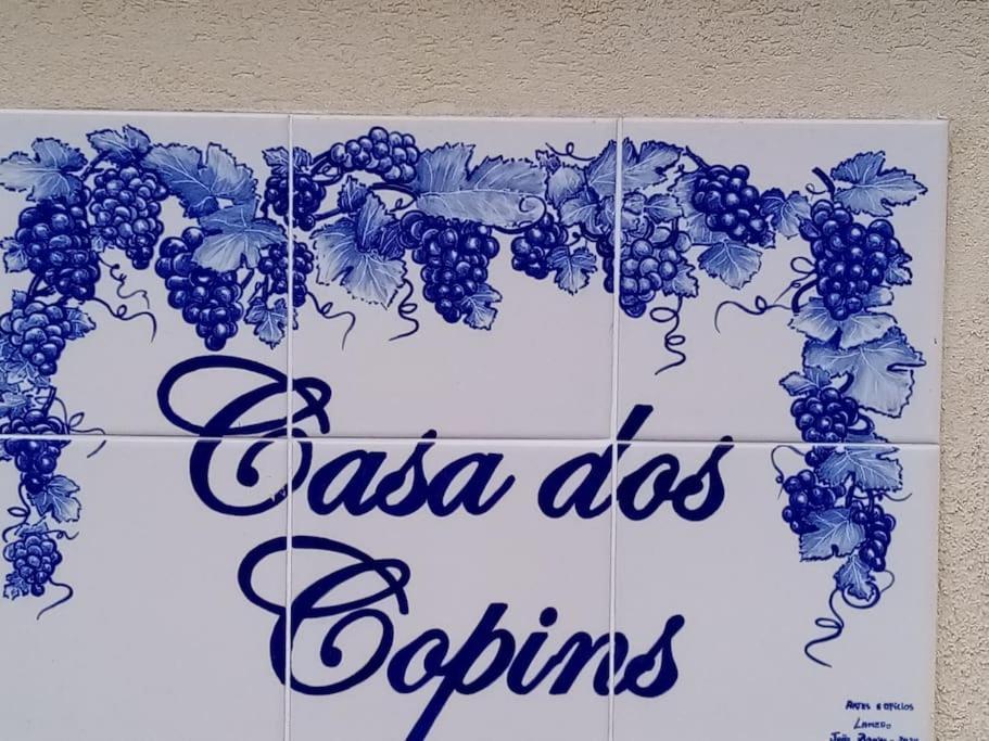 Casa Dos Copins Villa Lamego Exteriör bild